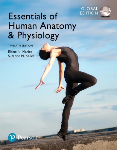 Essentials of Human Anatomy & Physiology (12th Global Edition) – eBook