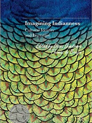Imagining Indianness: Cultural Identity and Literature – eBook PDF